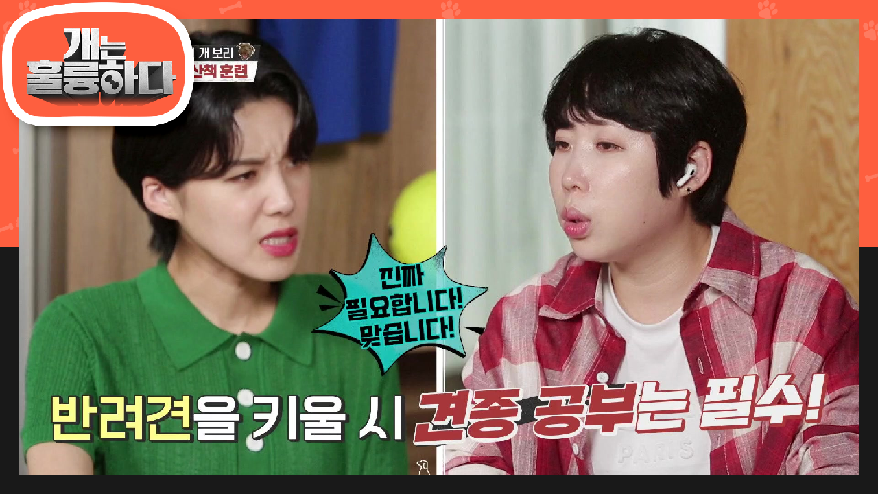 환경이 만든 문제견♨ 반려견을 키우기 전에 필수인 견종공부! | KBS 210816 방송