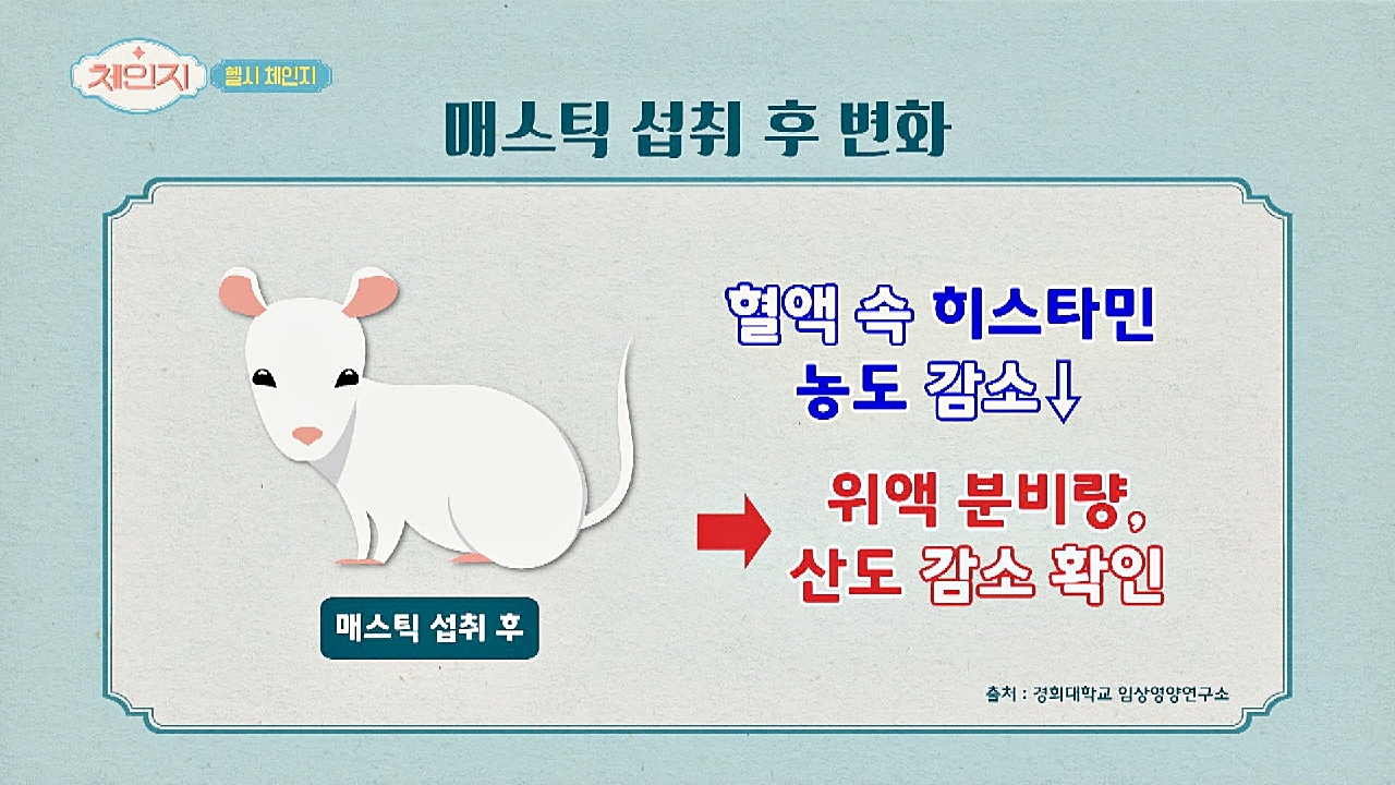 위 건강에 도움이 되는 3대 천연 항생 물질 중 하나☞ 매스틱