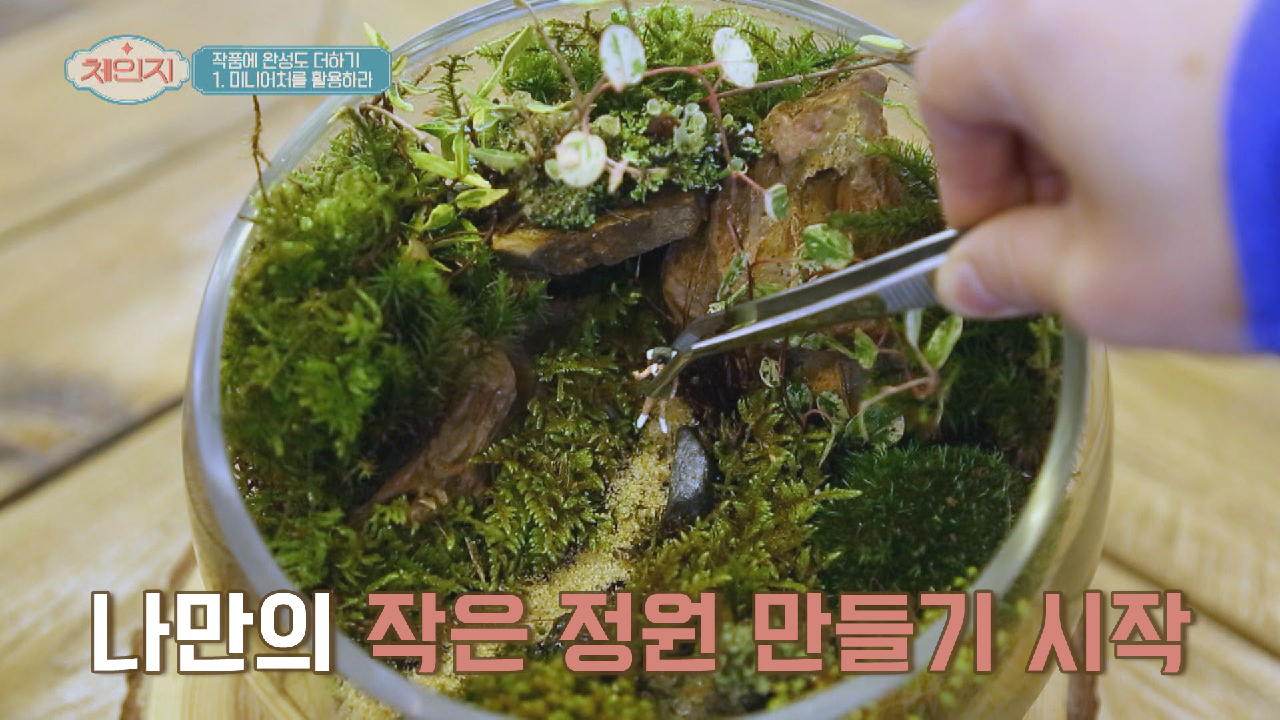 자연과 함께 간접 힐링♪ 나만의 작은 정원 만들기
