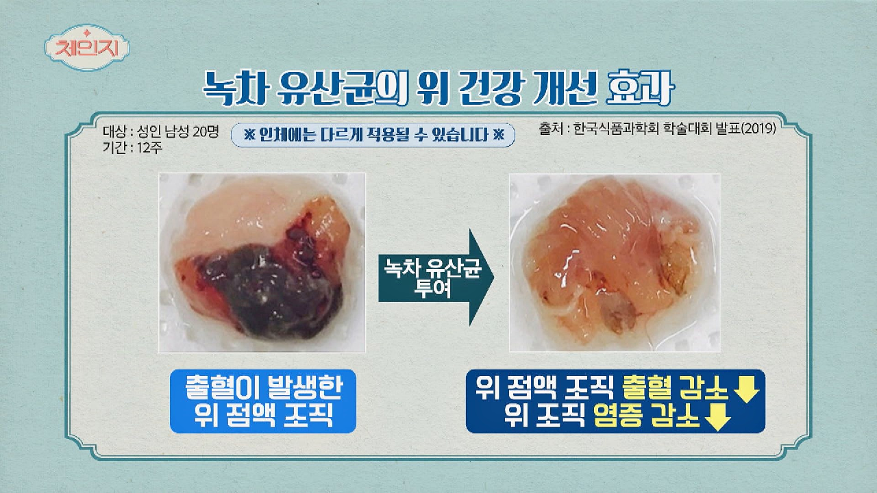 위 건강 개선하고 싶다면 &#39;녹차 유산균&#39; 섭취 추천✔️ | JTBC 210317 방송