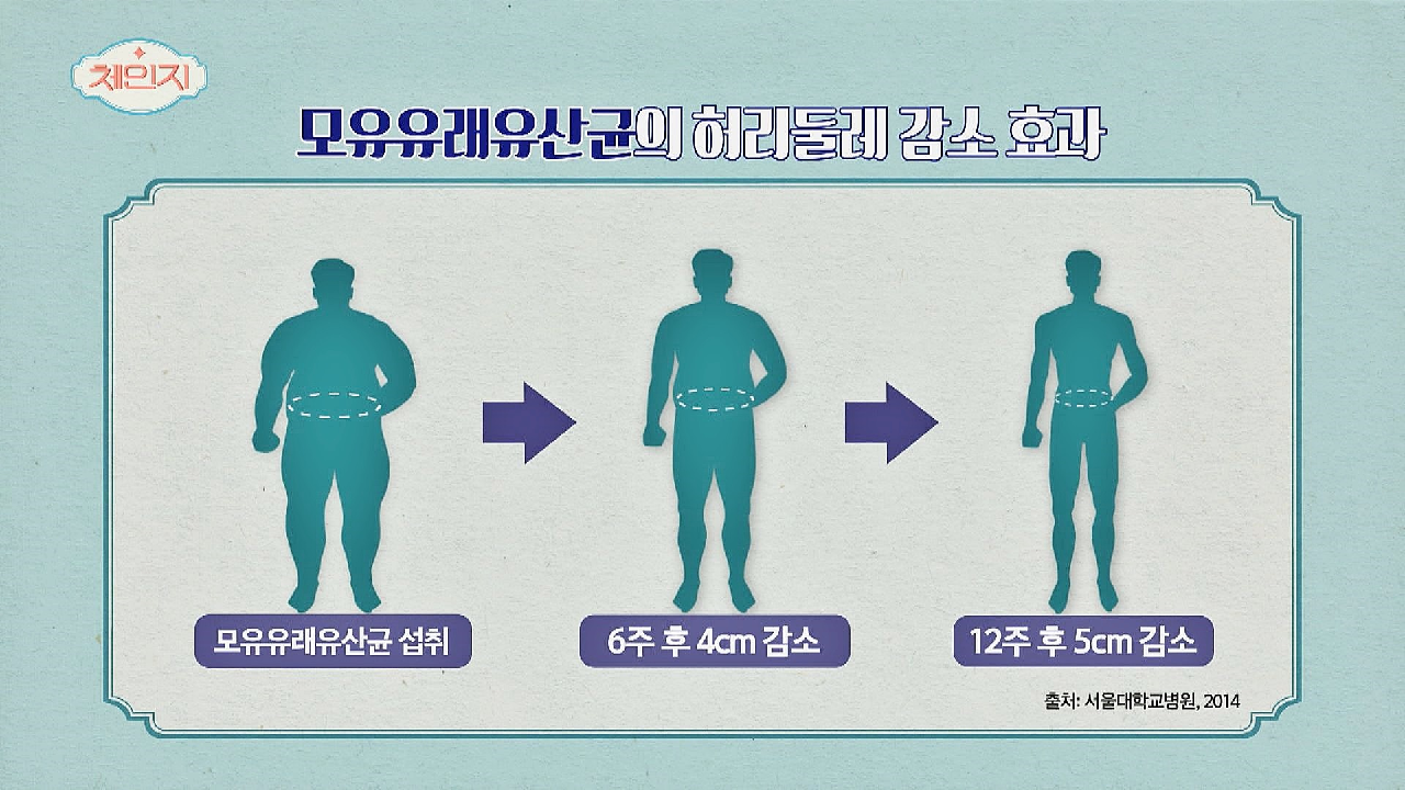 중년 뱃살 제거&amp;허리 둘레 감소 비법? 모유 유래 유산균
