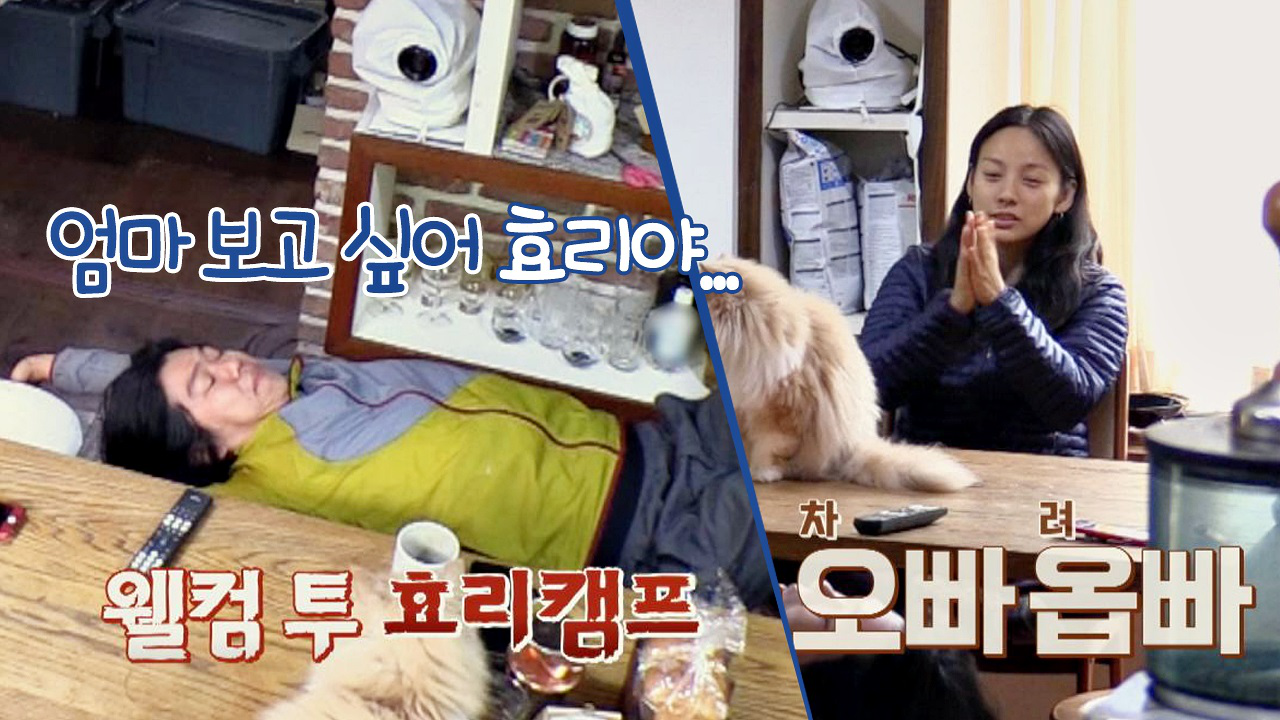 (웰컴 효리캠프) 상순, 할 일 폭탄에 ＂엄마 보고 싶어, 효리야 ㅠ_ㅠ...