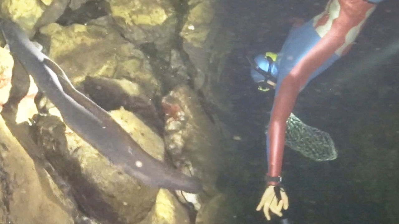 “나 배고파” 줄리엔 강, 거대 장어에 선제 공격!