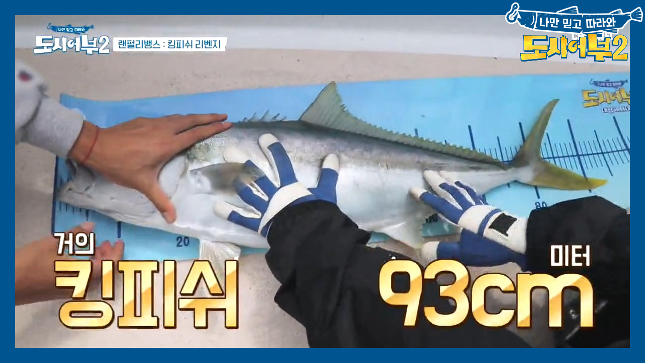 ＂우리 할머니도 너보단 빨리 감겠어ㅋㅋ＂ 개코가 힘겹게 잡은 첫 킹피쉬♡