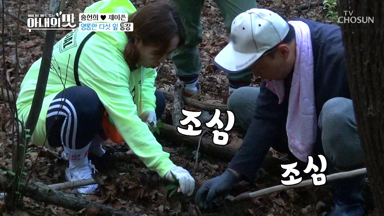 (흥분♨) 오자마자 ＂심봤다!!~＂ 과연 돈 되는 삼?!