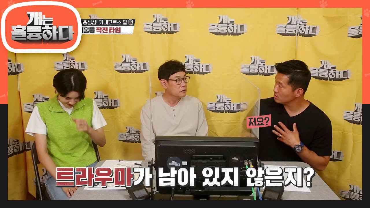 ※훈련장소 변경※ 유독 인자했던 강훈련사! 메리에 대한 트라우마 때문에? | KBS 210621 방송