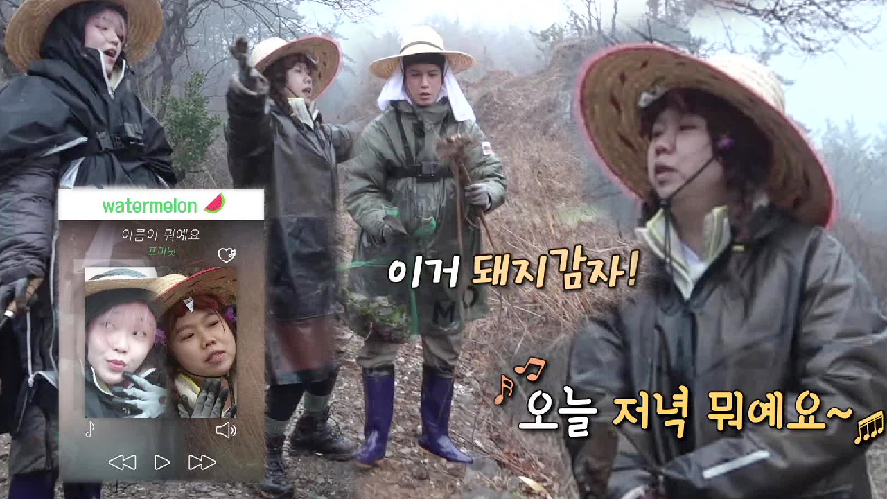 승희×홍현희, 박기웅이 발견한 돼지감자에 텐션 업↗