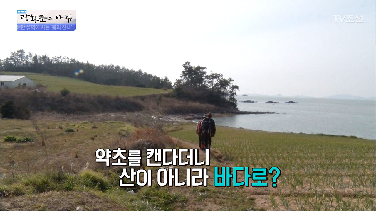 약초를 캐러 바다로 간 그녀! 그 이유는? - kakaoTV 약초를 캐러 바다로 간 그녀! 그 이유는?