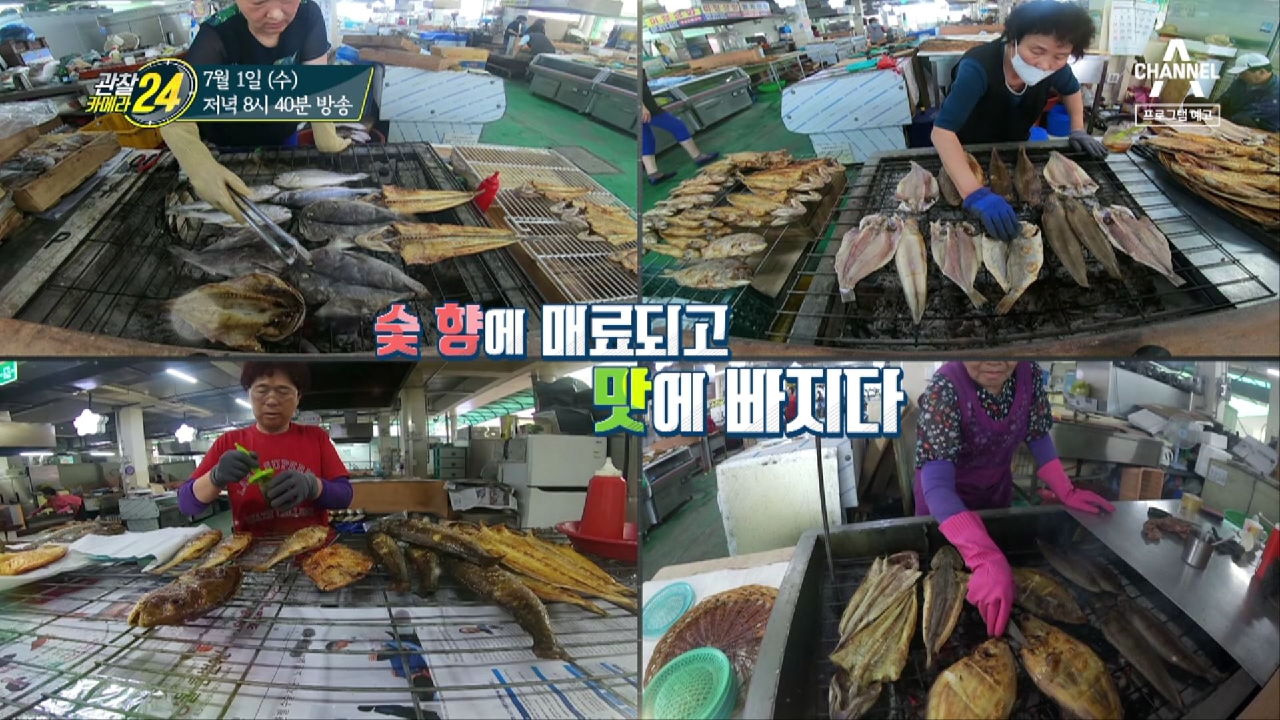 관찰 카메라 24 144회