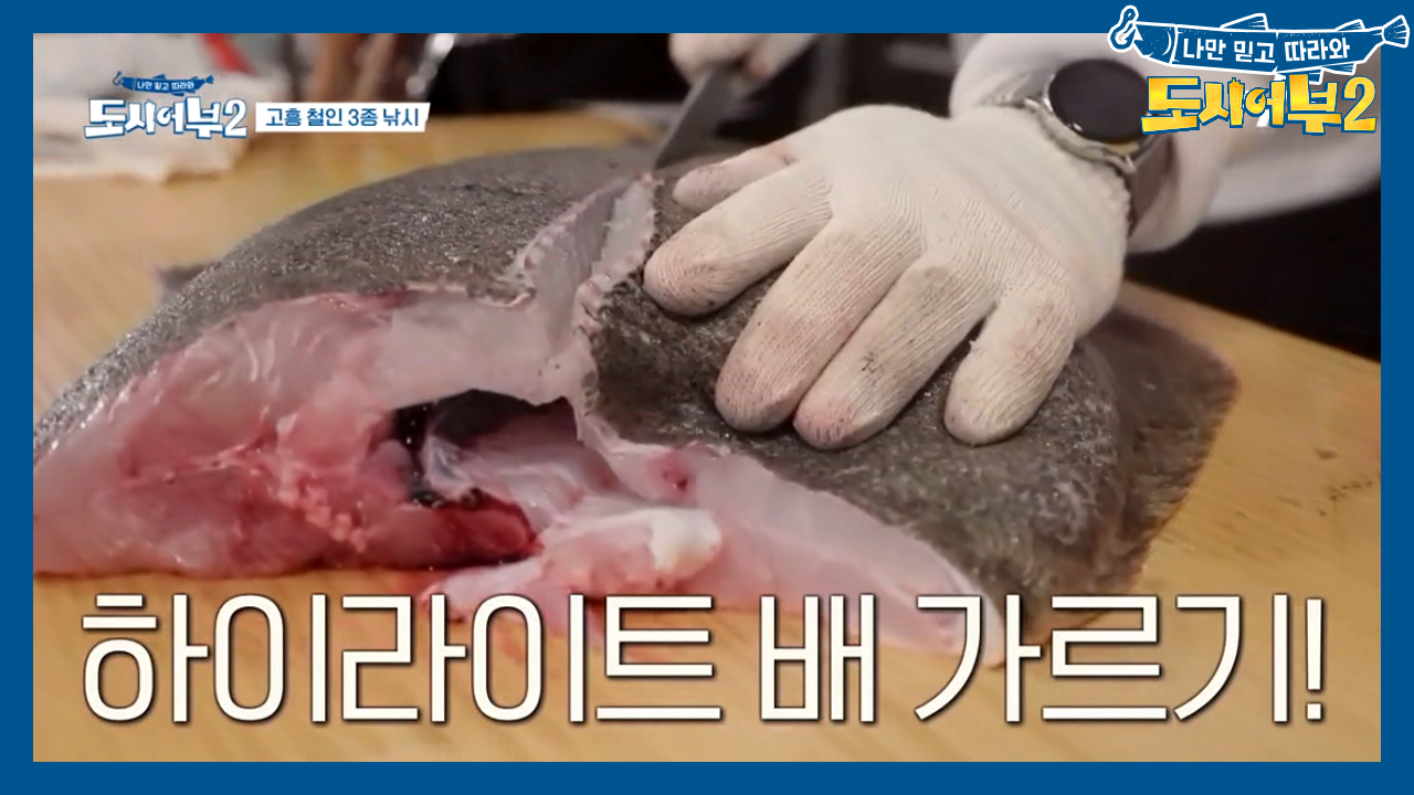 기록 大광어 해체 준비 끝! 오늘의 요리는? 최대어 등장!