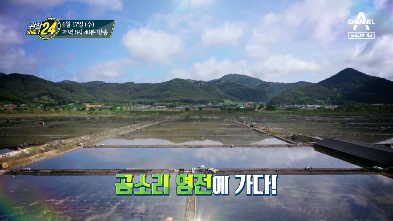 관찰 카메라 24 142회