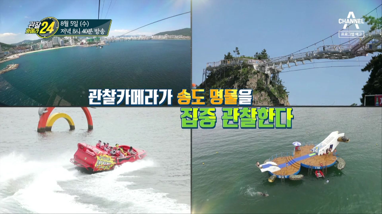 관찰 카메라 24 149회