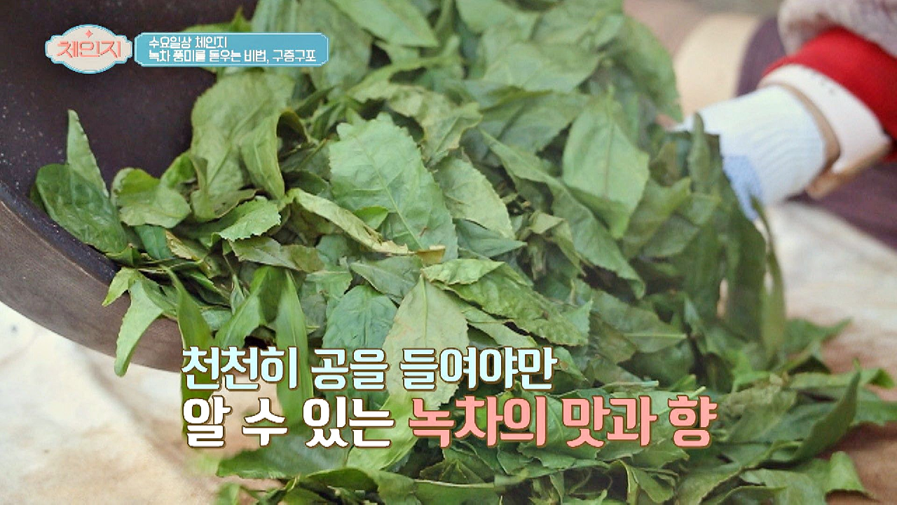 녹차? 풍미를 돋우는 특별한 비법, 구증구포
