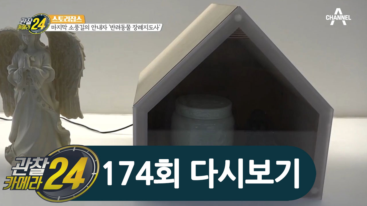 마지막 소풍길의 안내자 '반려동물 장례지도사'