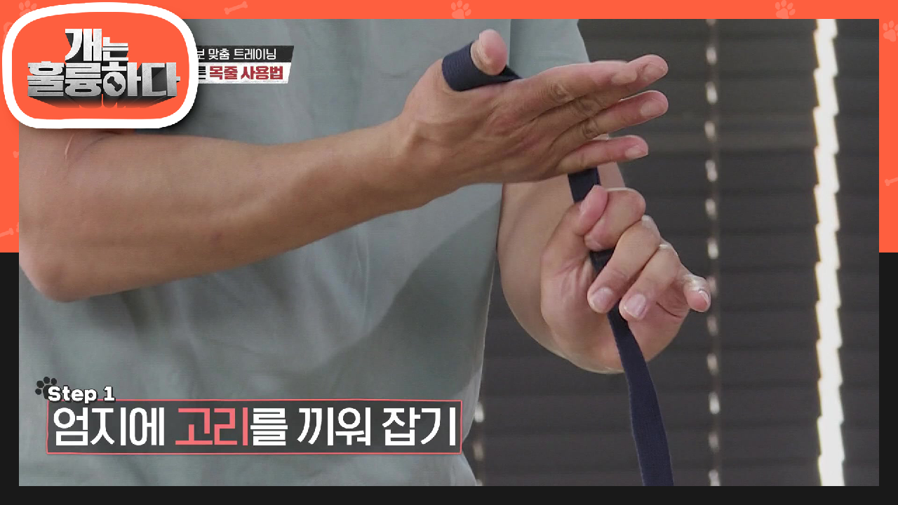 멍멍스쿨 훈련 백서 ＜제 1장＞ 올바른 목줄 사용법! | KBS 210712 방송