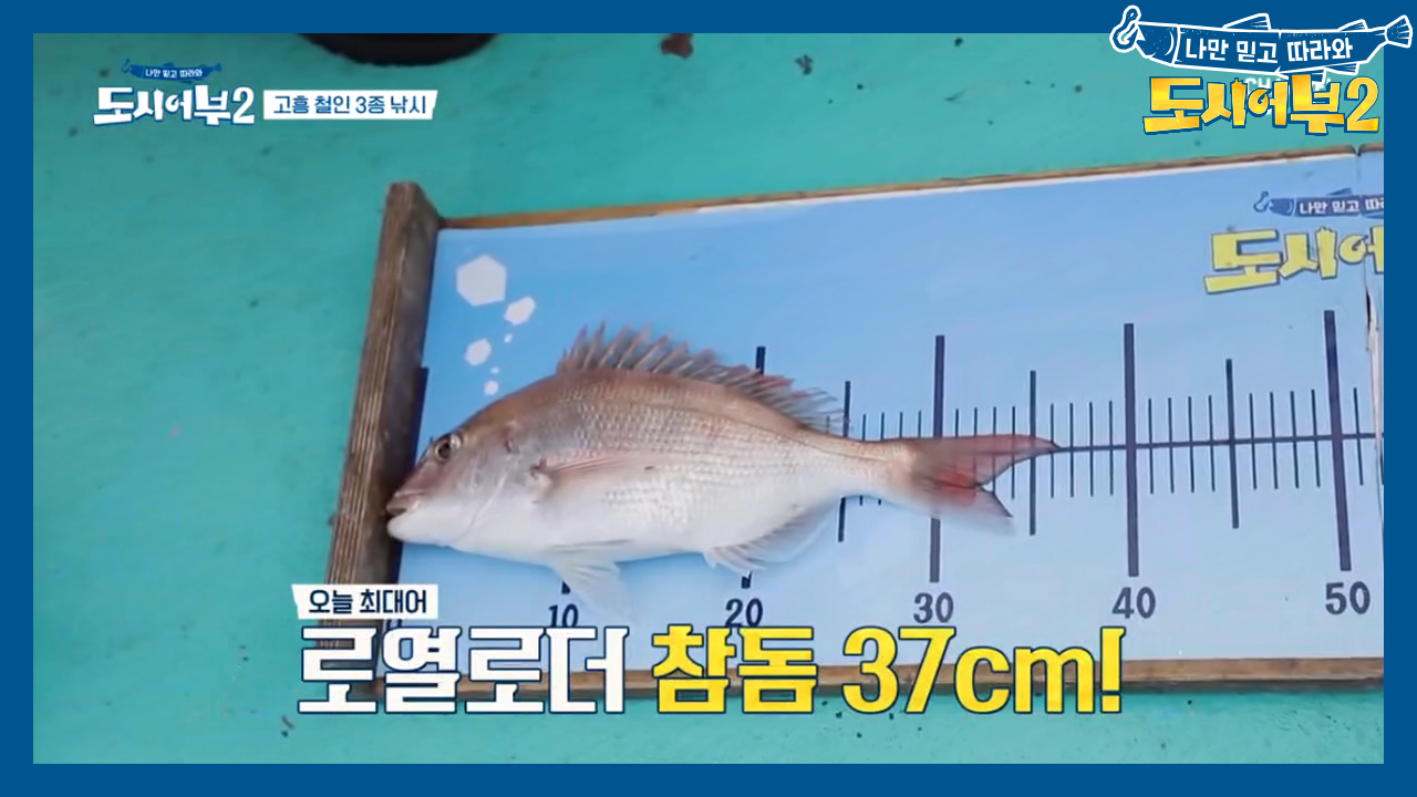 줄줄이 치는 히트! 축구에 이어 또 하나의 재능 발견한 동-국!