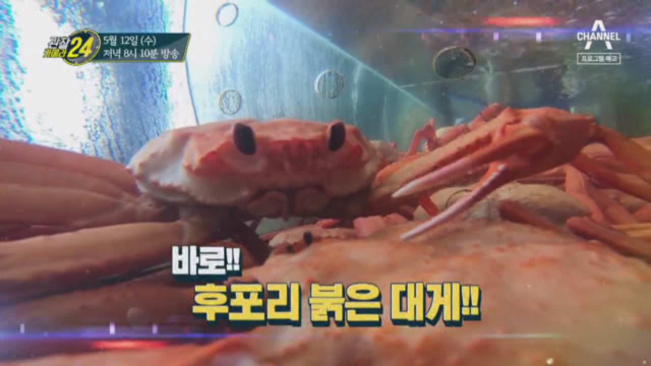 관찰 카메라 24 188회