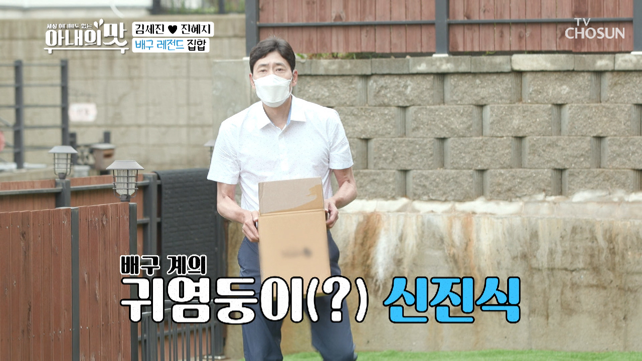 배구 ʚ레전드들ɞ 등장 (가슴 떨려❤)