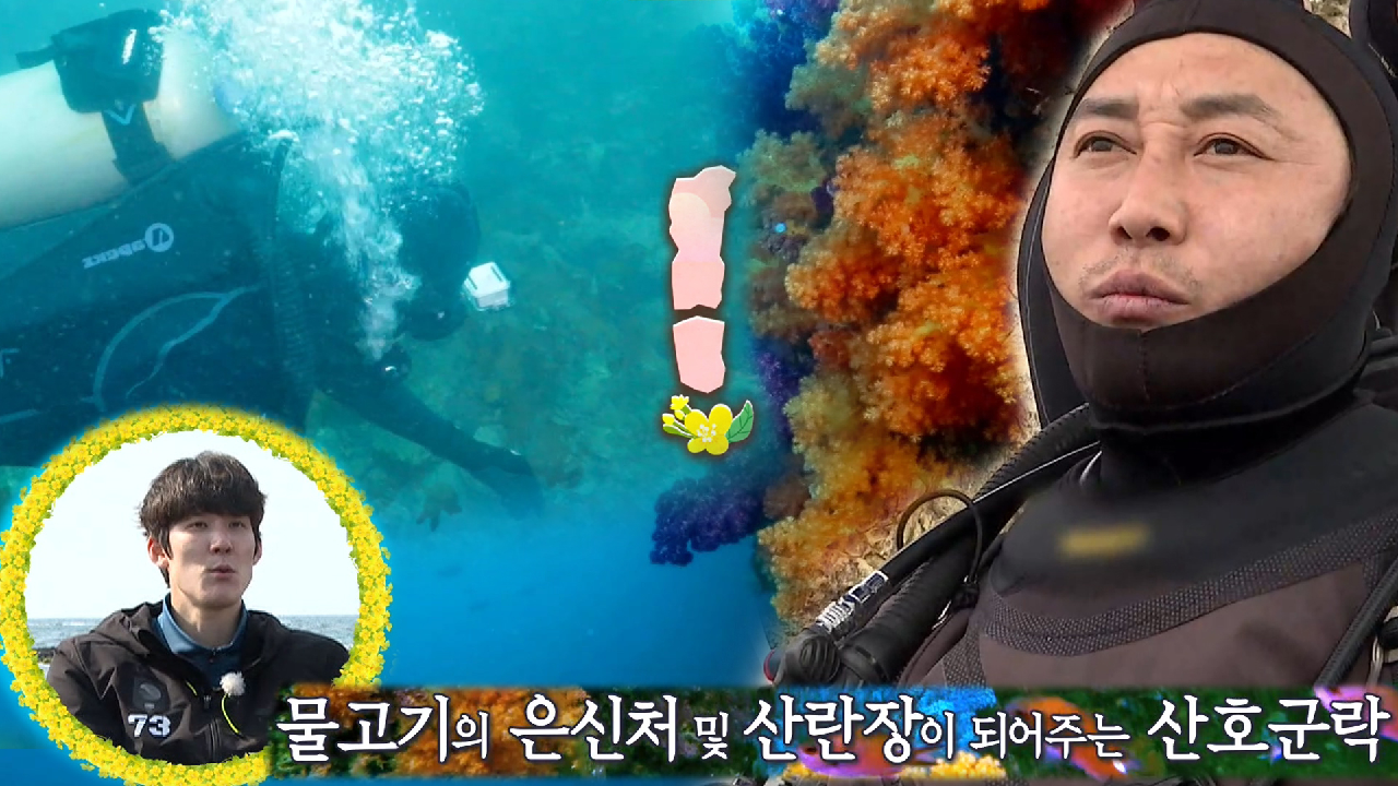 김병만×박태환, 아름다운 연산호 군락지에 감탄 연발!