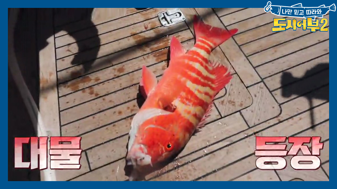 모습을 드러낸 레드엠퍼러↗↗가 아니라 차이나맨...? (cf. 독 있어서...