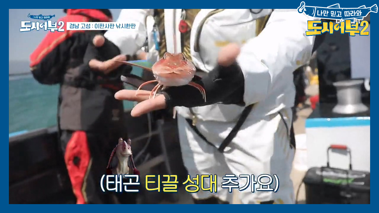 ☞신기한 잡어 사전☜ 오후 첫 수는 '잡어콜렉터' 태곤의 ...