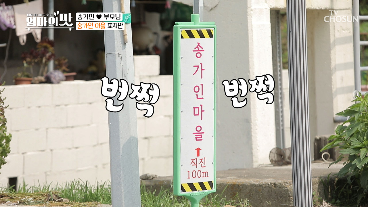 ‘송가인 집이여라~’ 주말 관광객 100명 이상 ◉_◉