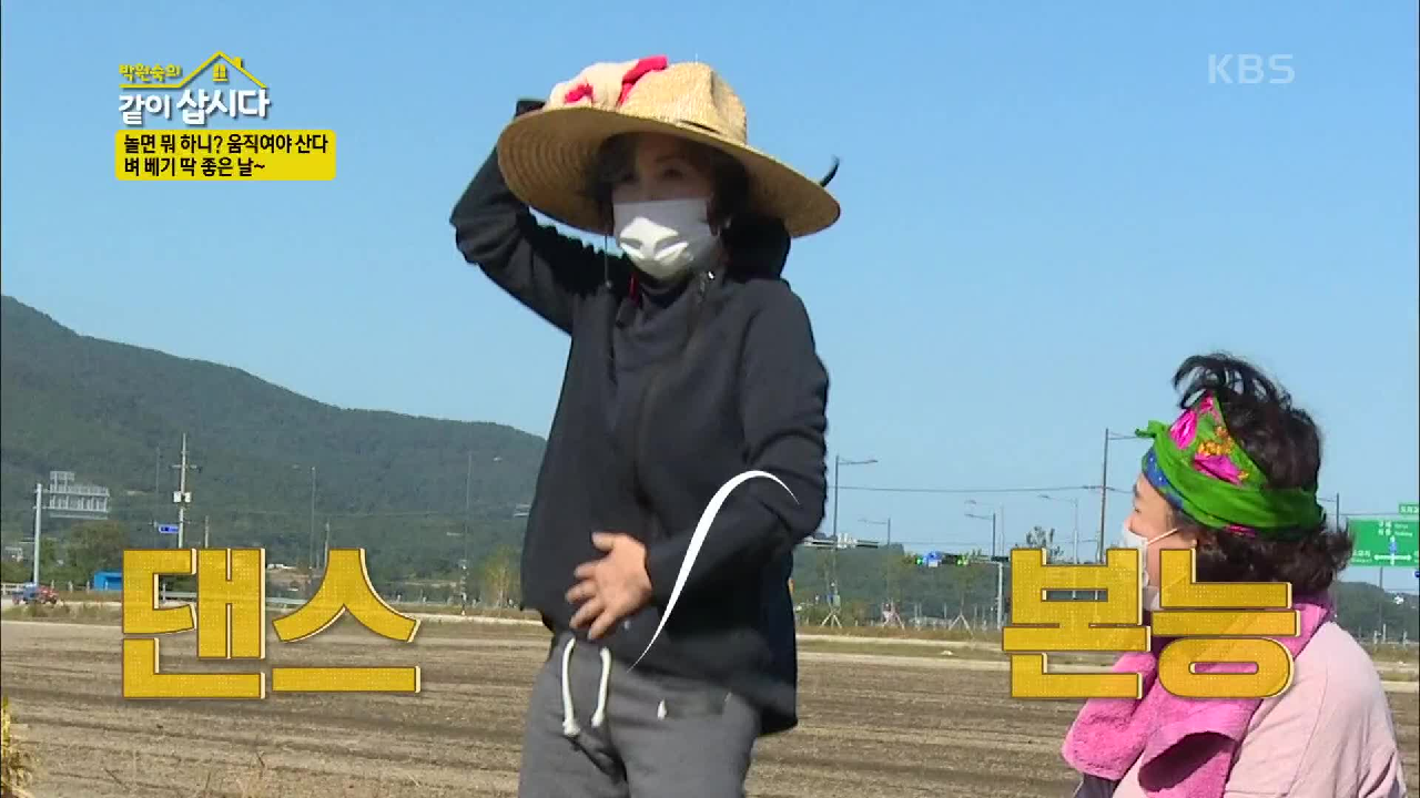 ※농사 시작※ 벼 베기 딱 좋은날~♬ (ft. 권순 흥 폭발~) | KB...