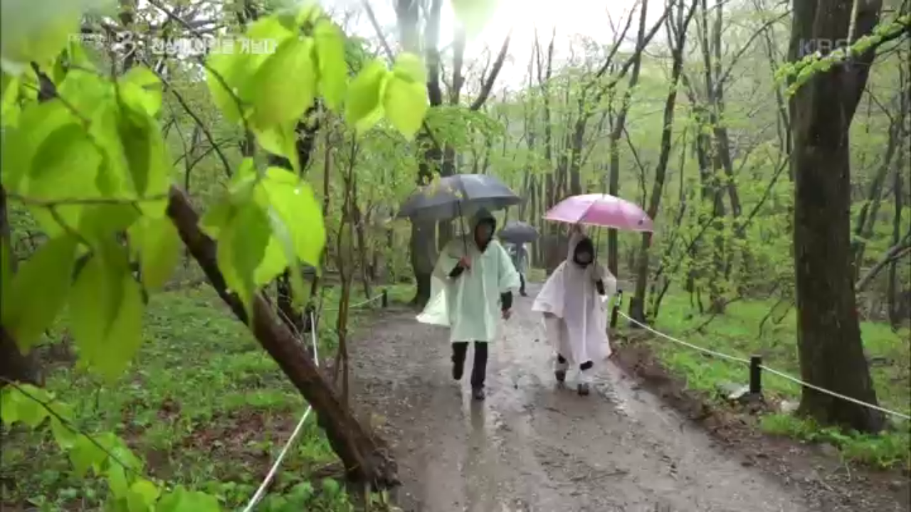 비내리는 천상의 화원, 곰배령