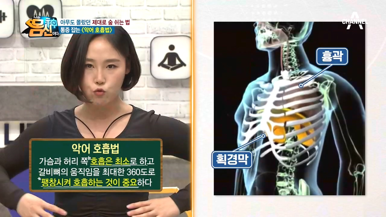 호흡으로 통증 잡는「악어 호흡법」갈비뼈의 움직임을 360˚로?!