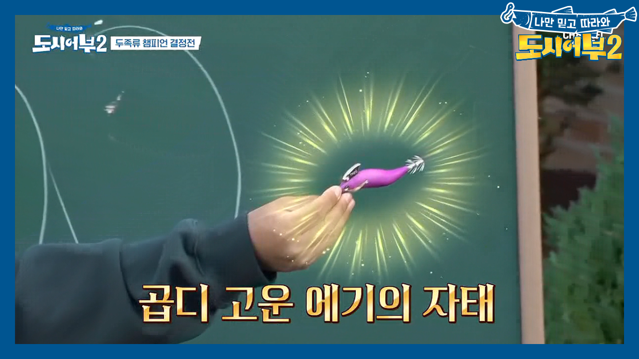 두족류 챔피언 결정전의 가장 중요한 POINT☆★ 어떤 '에기&#...