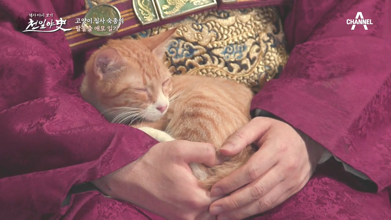 집사로 간택 당한 왕, 금손을 위한 숙종의 팔불출 애묘 일기