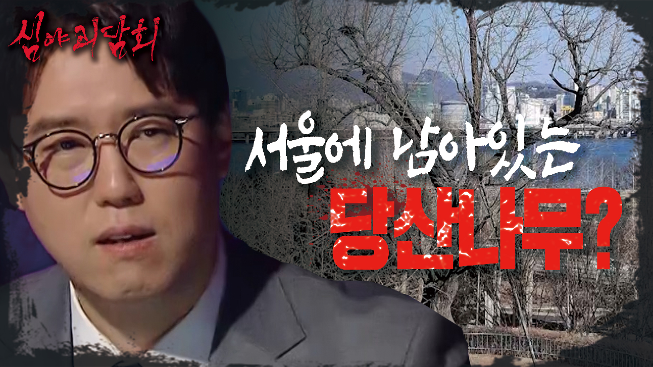 ＂당집이 도대체 뭐야?＂ 서울에도 남아있는 수호신 나무 &#39;당산나무&#39;, MBC 210429 방송