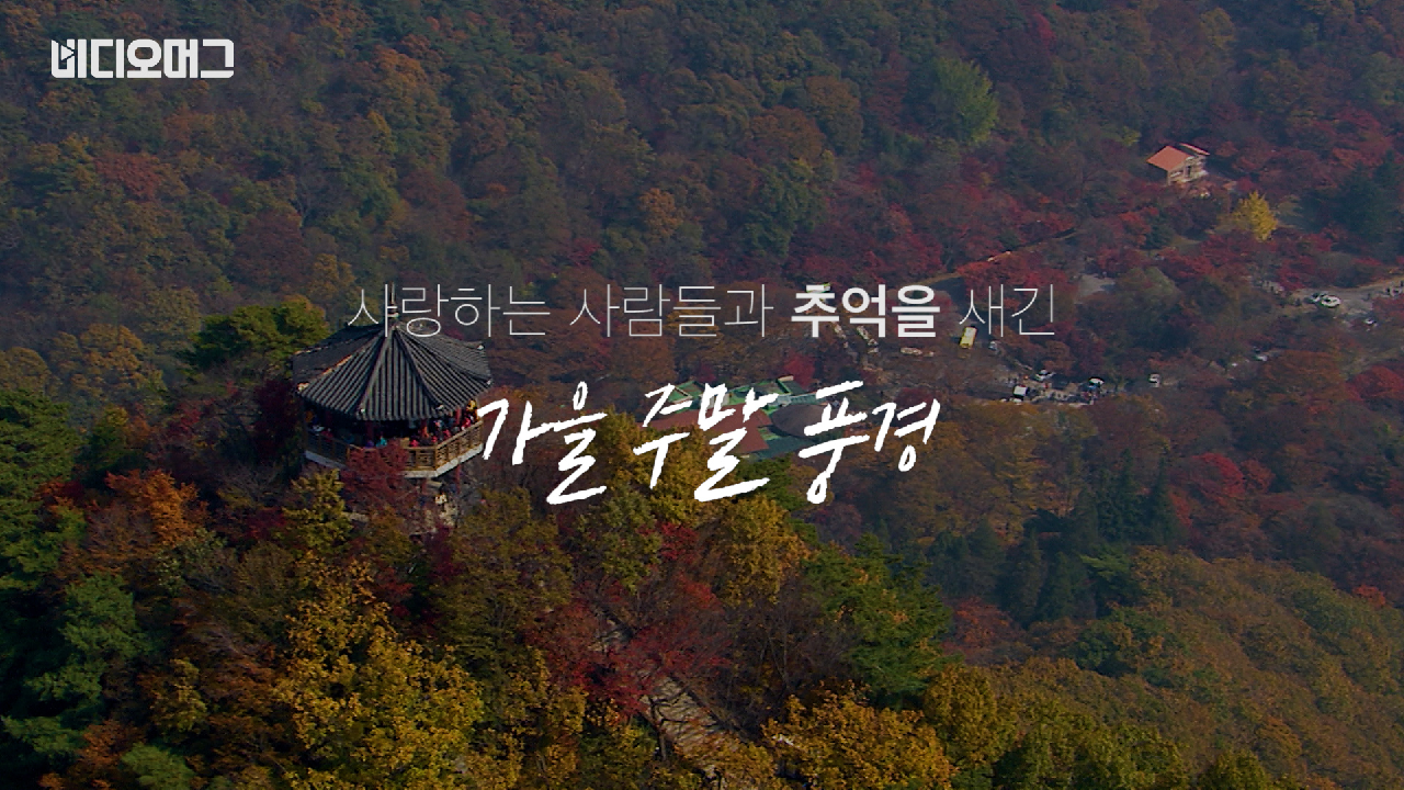 절정 이룬 자연의 수채화, 하늘에서 내려다본 내장산 단풍 - kakaoTV 절정 이룬 자연의 수채화, 하늘에서 내려다본 내장산 단풍