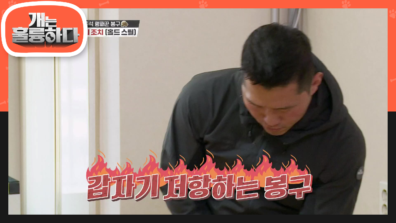 일반 보호자님들은 따라하지 마세요♨ 갑작스러운 반격에 특단의 조치를 취하는 강훈련사! | KBS 210426 방송