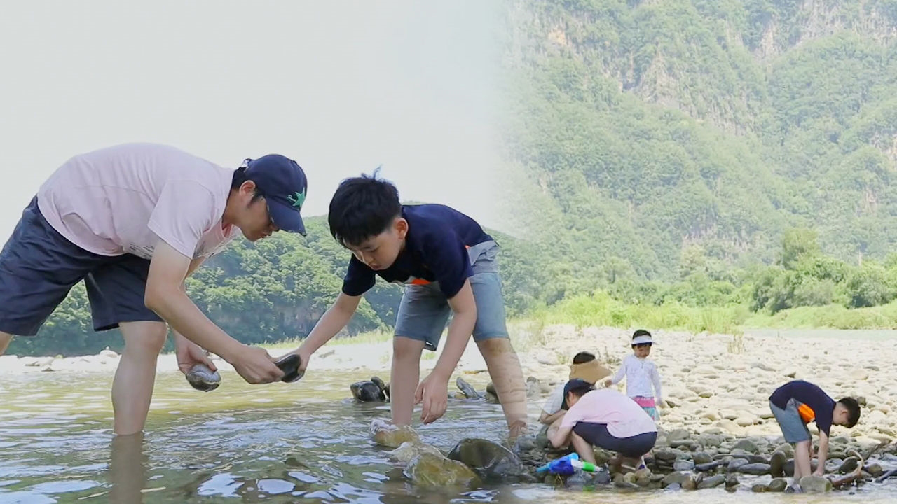 교육여행 전문가의 날카로운 조언 “아이에게 성취감을 줘라” - kakaoTV 교육여행 전문가의 날카로운 조언 “아이에게 성취감을 줘라”