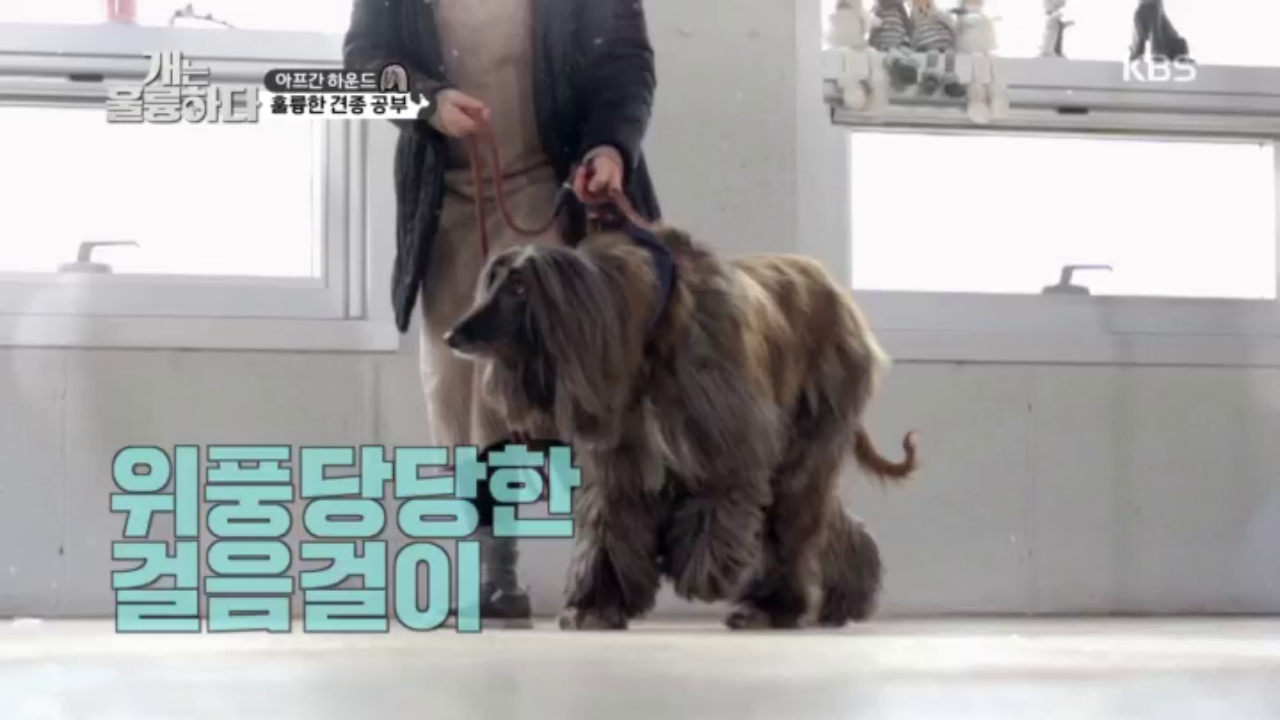 thumb.png?ts=1578318899