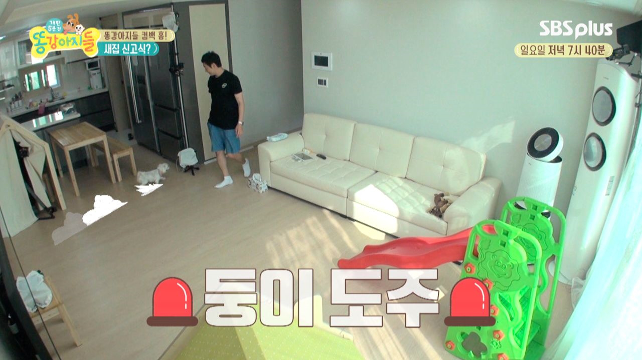 둥이, 새 하우스에 오자마자 사고치다! - kakaoTV 둥이, 새 하우스에 오자마자 사고치다!