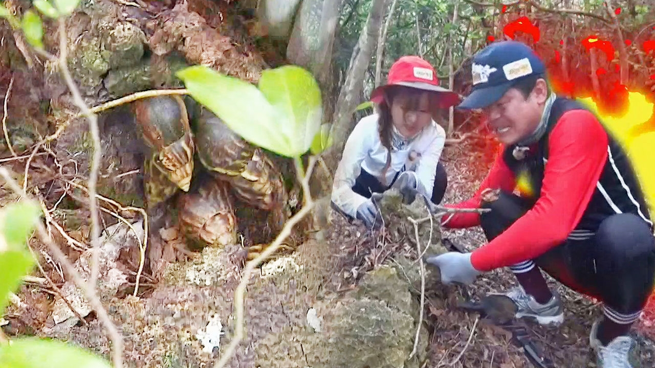 이연복·루, 정글 부녀의 치열한 생존 ‘왕달팽이 줍줍’