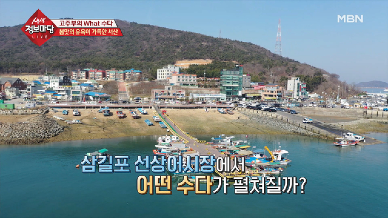 봄맛의 유혹이 가득한 삼길포 선상어시장 - kakaoTV 봄맛의 유혹이 가득한 삼길포 선상어시장