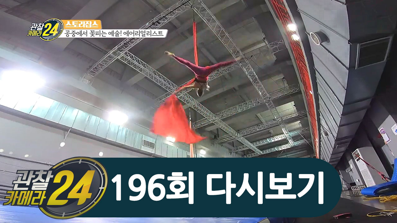 아파트 3층 높이 하늘을 나는 예술, '에어리얼리스트'!