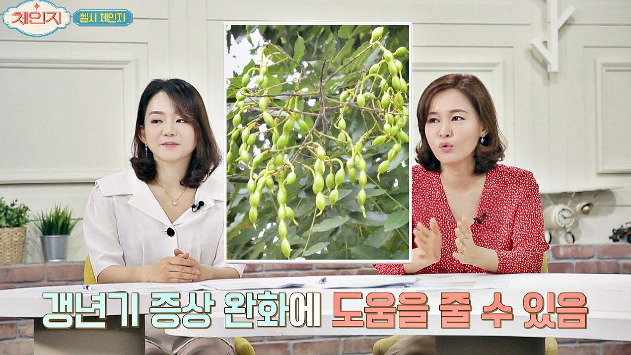 갱년기 증상 완화에 도움 되는 &#39;회화나무 열매&#39;