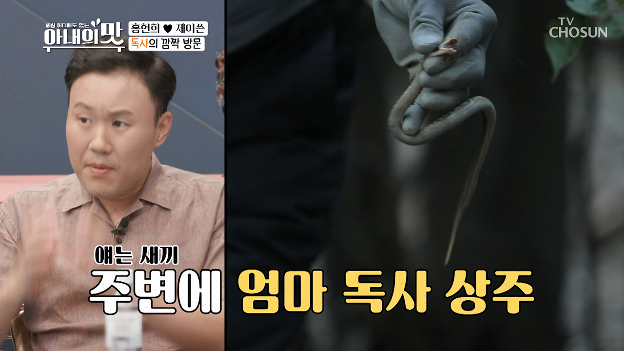 무언가 발견한 마스터... 독사 등장 ⊙_⊙ (ㅎㄷㄷ;)