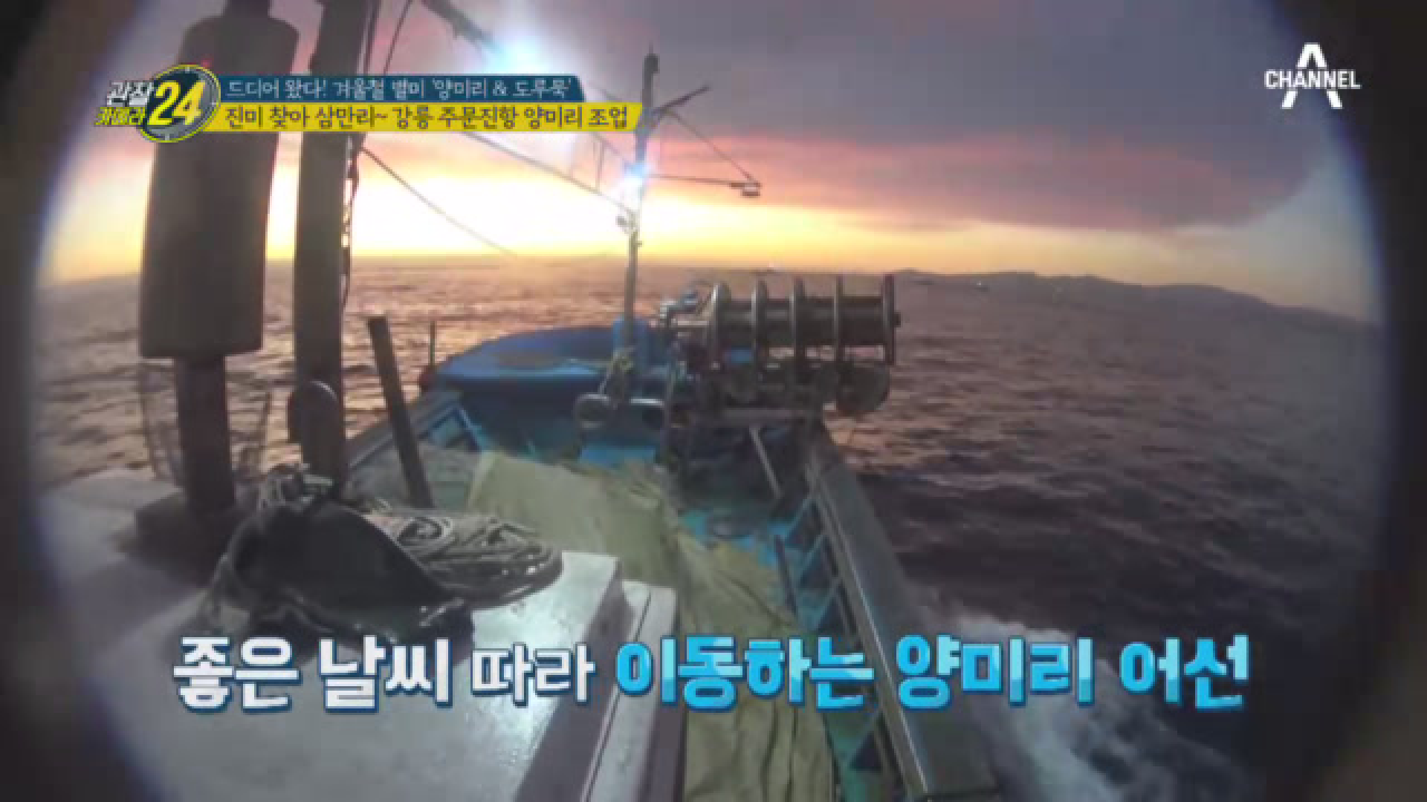 40년 경력 선장의 양미리 투망 포인트는?