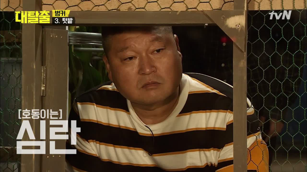 닭에 쪼여 죽은 사람은 없..었지? 닭장 속에 들어간 호동이