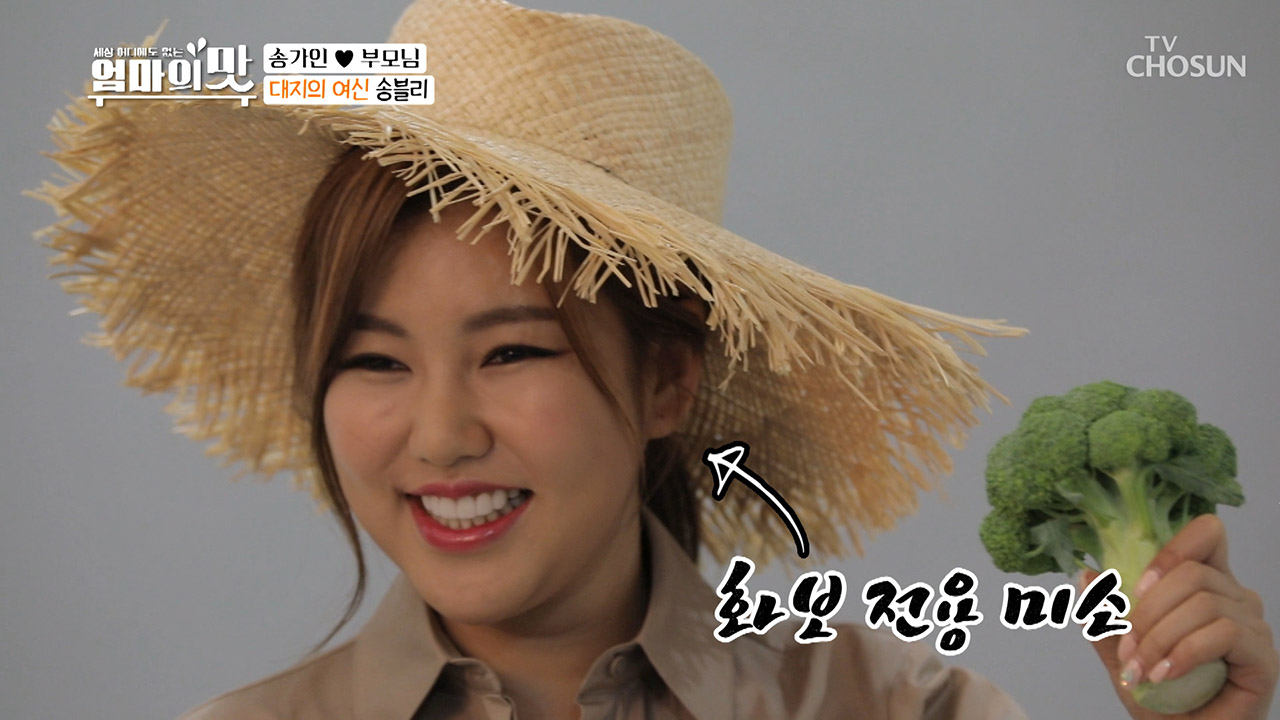 ❁첫 홍보대사❁ 송블리 모든 콘셉트 완.벽.소.화