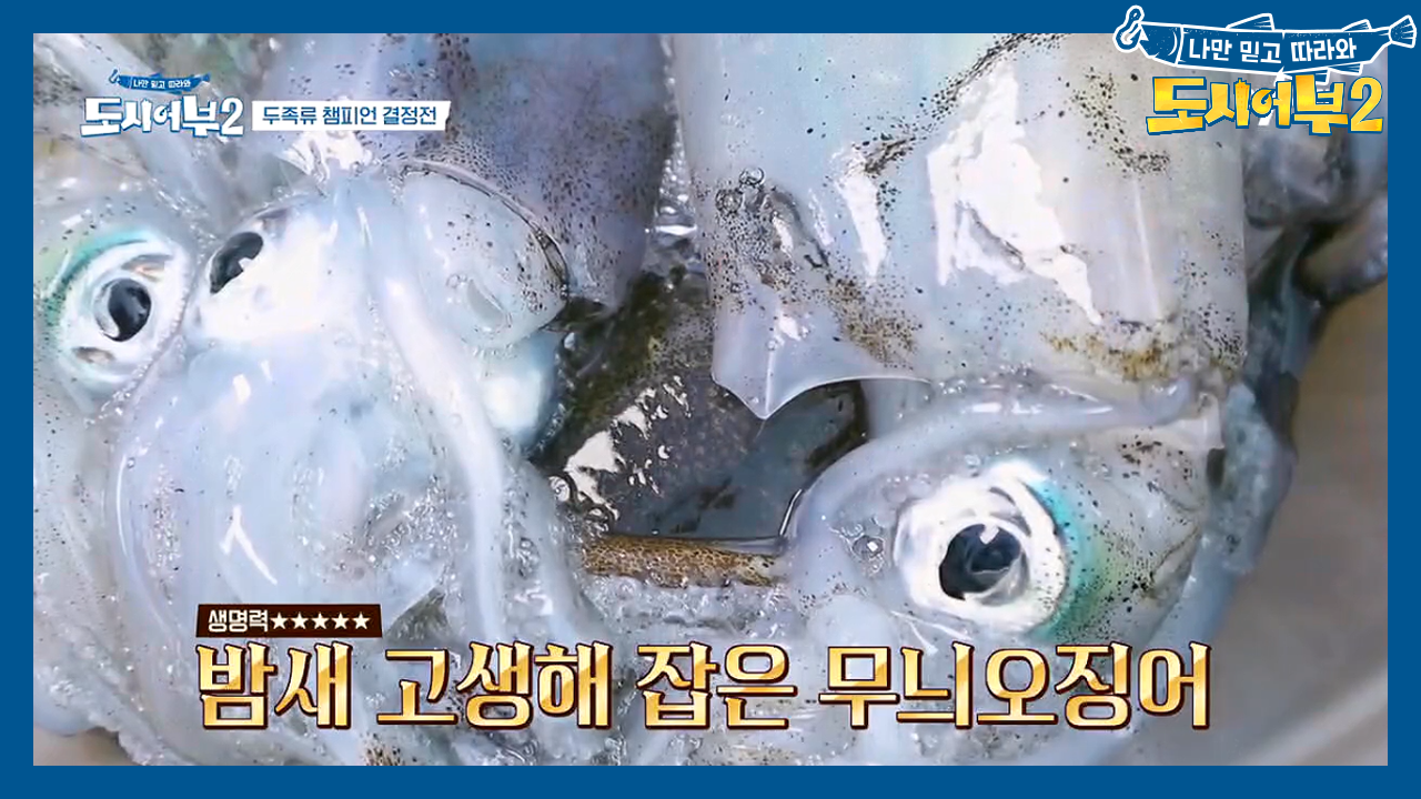 13시간 동안의 두족류 최강자전 종료★ 이제는 먹자!