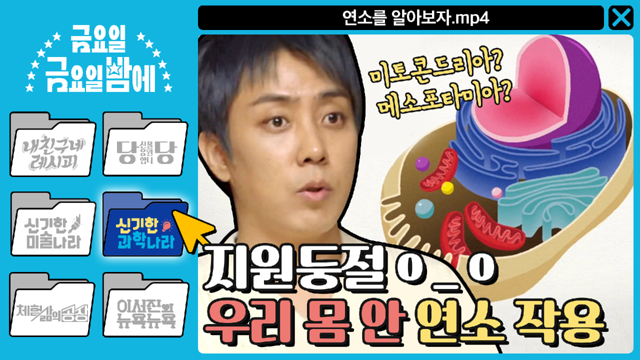 thumb.png?ts=1582309653