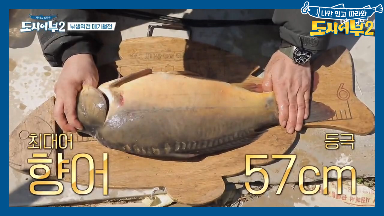 우당탕탕 예능 낚시!! 떠내려가는 낚싯대를 낚싯대로 낚았다⊙ㅁ⊙?!