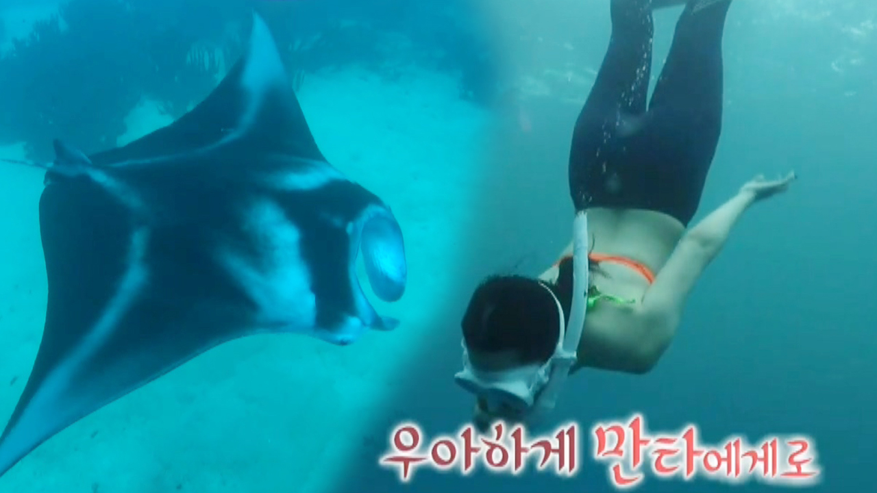 thumb.png?ts=1582388465