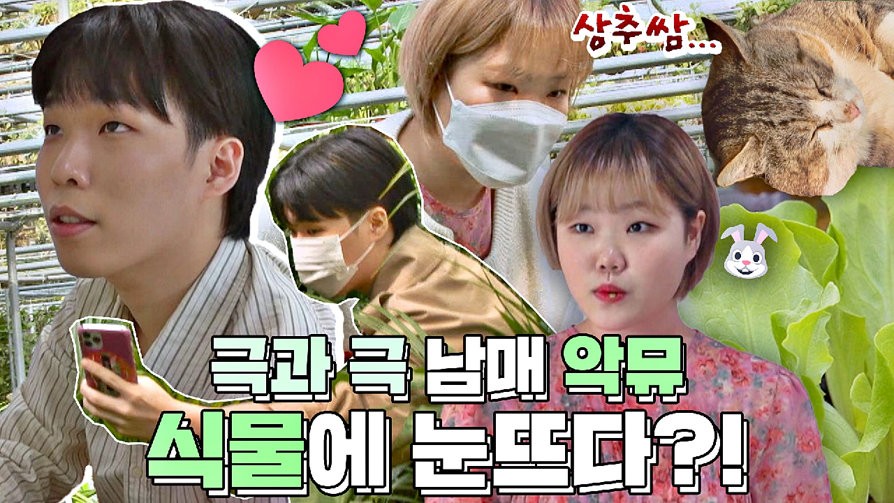 [악뮤 스페셜] '재테크' vs '파테크' 극과 극 남매 찬혁-수현의 플랜테리어&amp;홈 가드닝 스페셜? | JTBC 210503 방송